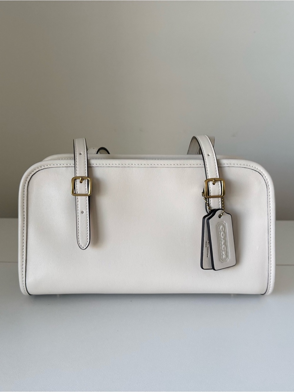 Coach Swing Zip Bag